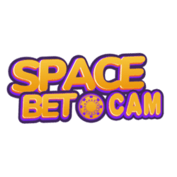 sudoku locked candidate
